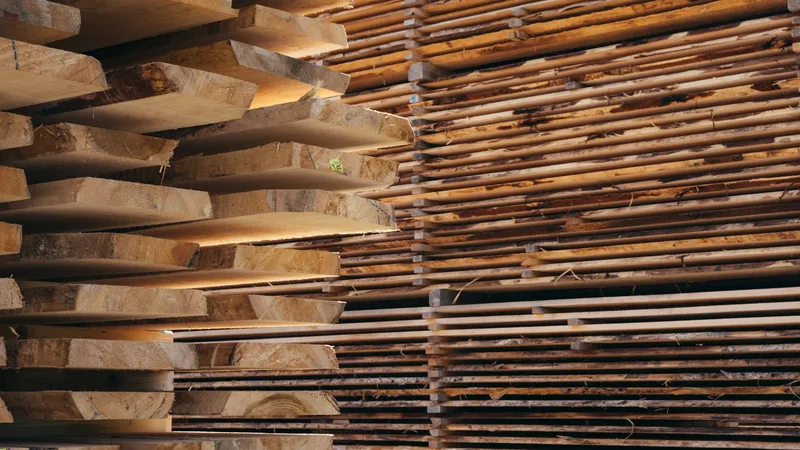 Best Wood Types for DIY Projects (And Where to Get Them Cheap)